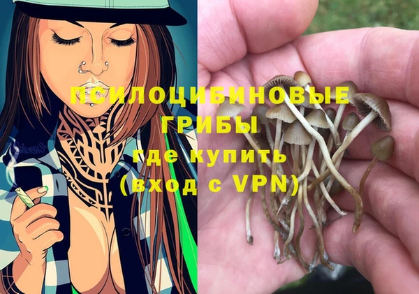 MESCALINE Алзамай